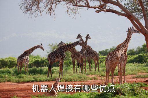 鑫洋自動化設(shè)備有限公司,杭州鑫洋自動化設(shè)備有限公司