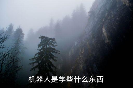 龍崗智能編程機(jī)器人,樂高智能編程機(jī)器人