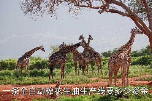 隨州全自動(dòng)化設(shè)備價(jià)格查詢,全自動(dòng)機(jī)械化設(shè)備價(jià)格