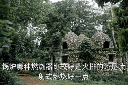 江西自動化燃燒器保養(yǎng)公司,燃氣鍋爐維修