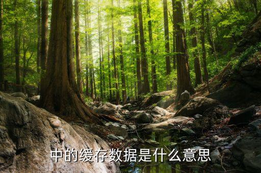 手機(jī)存儲(chǔ)數(shù)據(jù)是什么情況,微信里存儲(chǔ)的數(shù)據(jù)是什么?