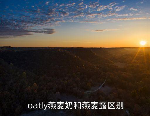  oatly燕麥奶和燕麥露區(qū)別