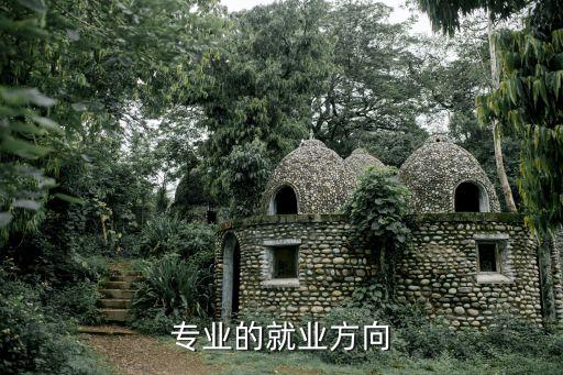 欣泰電氣自動(dòng)化類(lèi)專(zhuān)業(yè)就業(yè),電氣專(zhuān)業(yè)就業(yè)前景