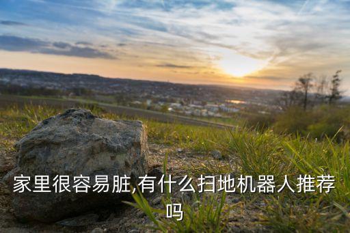 家里很容易臟,有什么掃地機(jī)器人推薦嗎