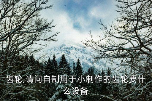 齒輪,請問自制用于小制作的齒輪要什么設(shè)備