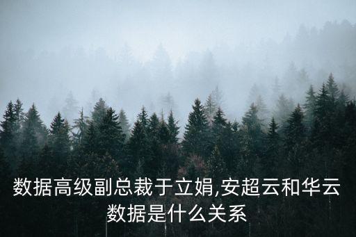 華云數(shù)據(jù)高級副總裁于立娟,安超云和華云數(shù)據(jù)是什么關(guān)系?