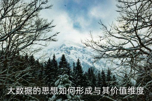 大數(shù)據(jù)專家Peter Wei,魏333去哪了?