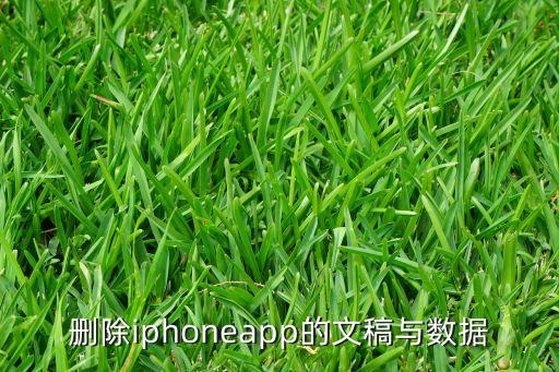 qq文稿與數(shù)據(jù)怎么清理,蘋果qq的稿件和資料怎么清理?