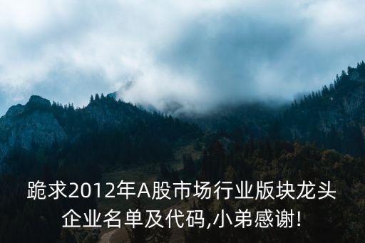 跪求2012年A股市場行業(yè)版塊龍頭企業(yè)名單及代碼,小弟感謝!