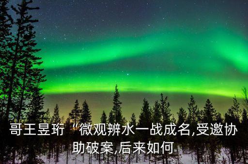 水哥王昱珩pk機(jī)器人,王宇恒打機(jī)器人