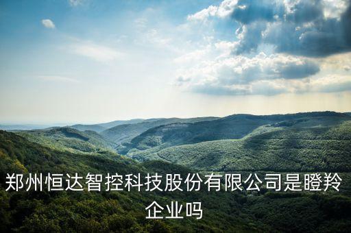 鄭州恒達智控科技股份有限公司是瞪羚企業(yè)嗎