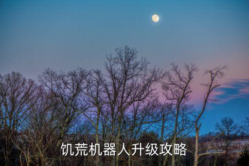饑荒機(jī)器人升級(jí)攻略