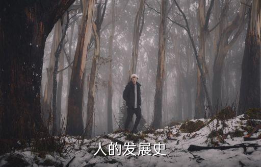 并聯(lián)機(jī)器人發(fā)展史,中國(guó)機(jī)器人發(fā)展史