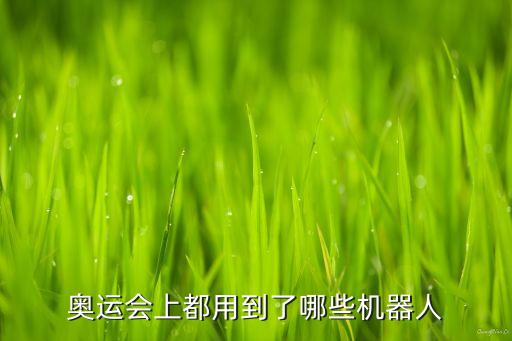 奧運(yùn)會(huì) 機(jī)器人,杭州奧運(yùn)會(huì)吉祥物