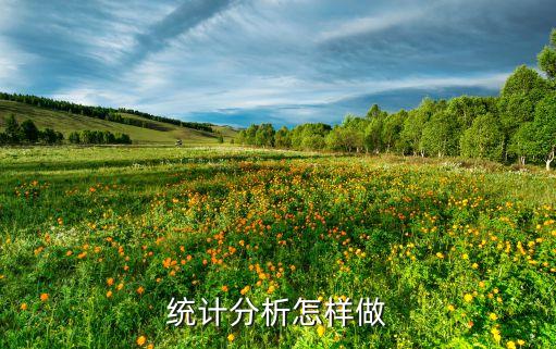 統(tǒng)計(jì)分析怎樣做