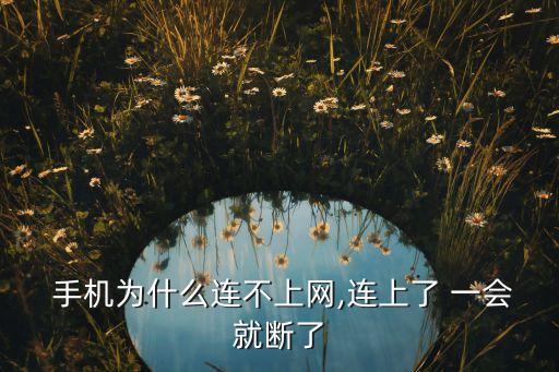  手機(jī)為什么連不上網(wǎng),連上了 一會(huì)就斷了