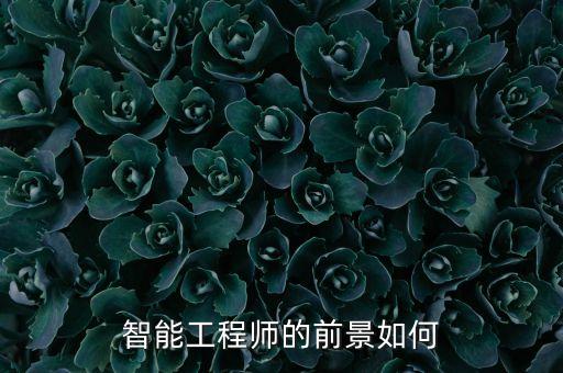 智能工程師的前景如何