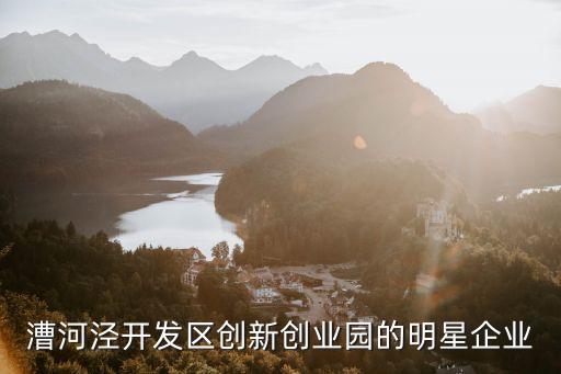 漕河涇開發(fā)區(qū)創(chuàng)新創(chuàng)業(yè)園的明星企業(yè)