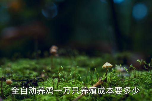 全自動養(yǎng)雞一萬只養(yǎng)殖成本要多少