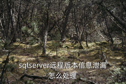 sqlserver遠(yuǎn)程版本信息泄漏怎么處理