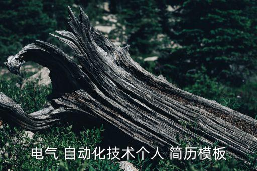 自動化設(shè)備機構(gòu)求職簡歷,電氣工程及其自動化專業(yè)求職簡歷