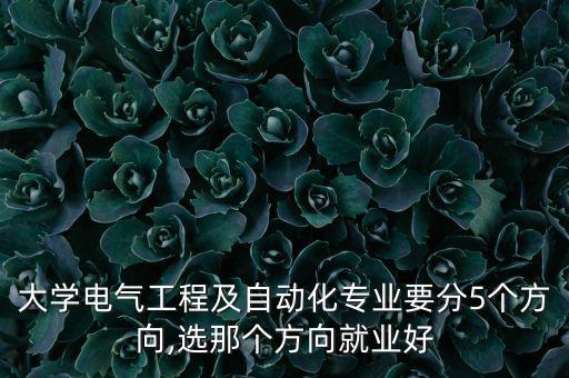 大學(xué)電氣工程及自動(dòng)化專業(yè)要分5個(gè)方向,選那個(gè)方向就業(yè)好