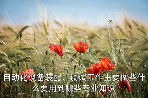 自動化設(shè)備裝配、調(diào)試工作主要做些什么要用到哪些專業(yè)知識