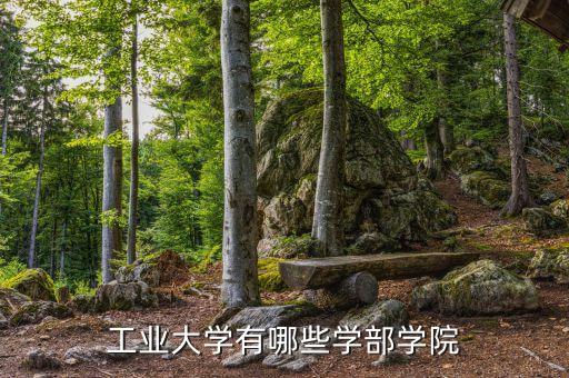 遼寧省自動(dòng)化專業(yè)學(xué)校,自動(dòng)化王牌專業(yè)學(xué)校