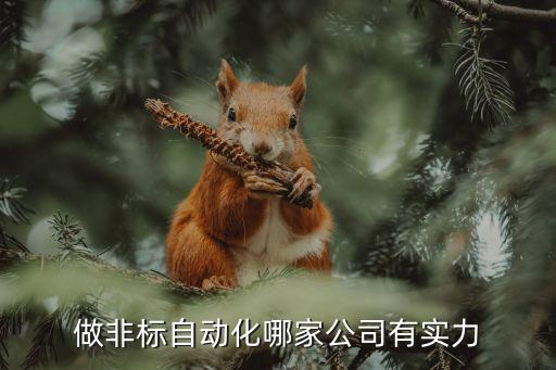 做非標(biāo)自動(dòng)化哪家公司有實(shí)力