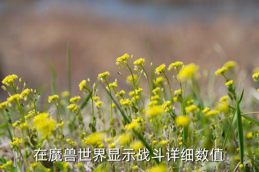 怎么看自己的戰(zhàn)場數(shù)據(jù),魔獸世界如何看待戰(zhàn)場數(shù)據(jù)?