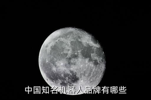 中國(guó)知名機(jī)器人品牌有哪些