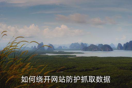 如何繞開網(wǎng)站防護抓取數(shù)據(jù)