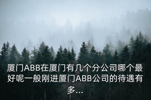 廈門ABB在廈門有幾個(gè)分公司哪個(gè)最好呢一般剛進(jìn)廈門ABB公司的待遇有多...