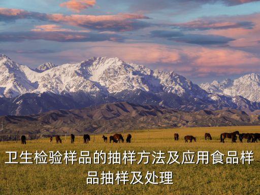 IPPM,IPP模式是什么意思?