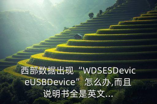 西部數(shù)據(jù)出現(xiàn)“WDSESDeviceUSBDevice”怎么辦,而且說明書全是英文...