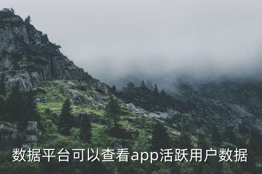 七麥數(shù)據(jù)網(wǎng),七脈沖數(shù)據(jù)網(wǎng)絡(luò)