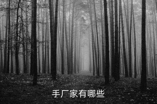 手廠家有哪些