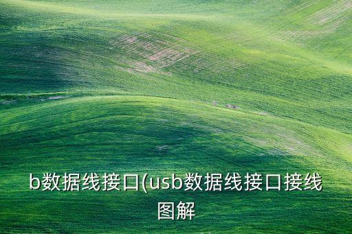 b數(shù)據(jù)線接口(usb數(shù)據(jù)線接口接線圖解