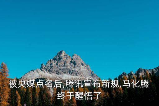 馬化騰大數(shù)據(jù)分析,馬云貴州打造數(shù)據(jù)中心?