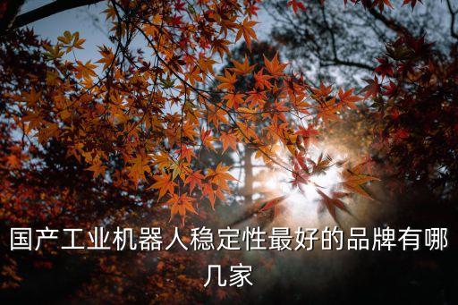 國(guó)產(chǎn)工業(yè)機(jī)器人穩(wěn)定性最好的品牌有哪幾家