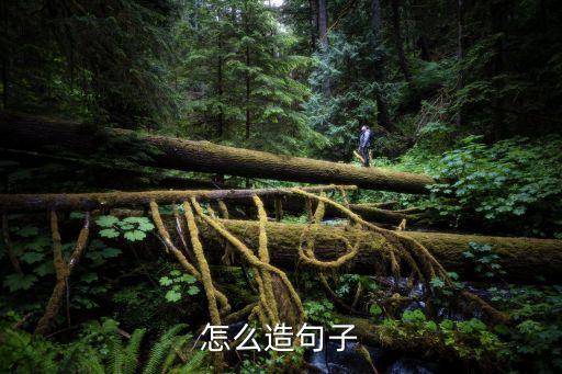 怎么造句子