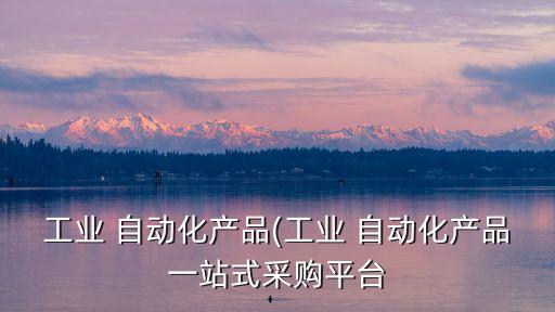 貴州包裝自動化設備,包裝 自動化流水生產(chǎn)線設備廠家