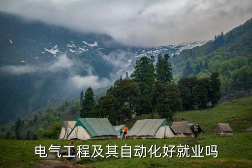 電氣自動化 私活,電氣自動化如何做私活