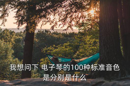 我想問下 電子琴的100種標(biāo)準(zhǔn)音色是分別是什么