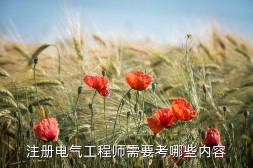 注冊電氣工程師需要考哪些內容