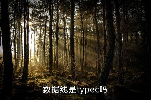 iphone充電線 數(shù)據(jù)線嗎,蘋果數(shù)據(jù)線充電線