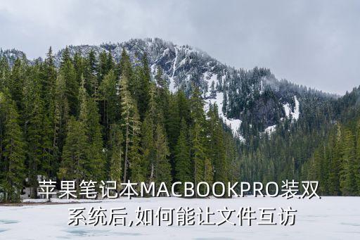 蘋果筆記本MACBOOKPRO裝雙 系統(tǒng)后,如何能讓文件互訪