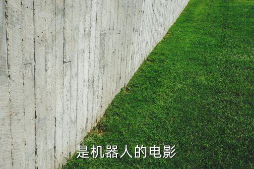 進化者機器人女主角,青島進化機器人