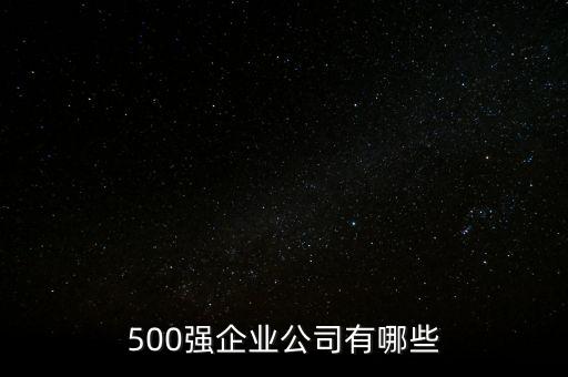 500強(qiáng)企業(yè)公司有哪些