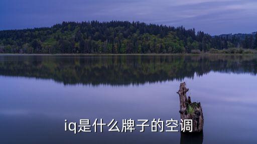 長虹chiq電視,以ch開頭的電視品牌